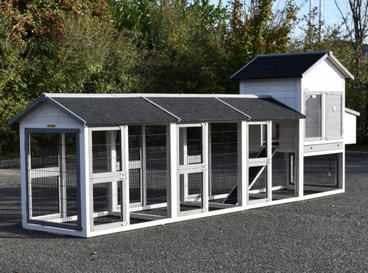 Poulailler Prestige Medium avec 3 enclos et pondoir · 423x91x150cm