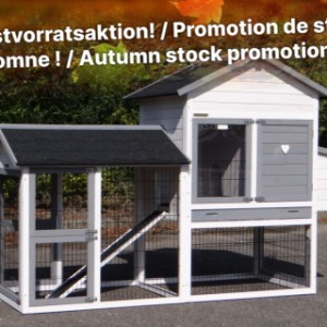Promotion de stock d'automne !