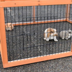 Le parc à lapins Multirun est fabriqué en bois de pin