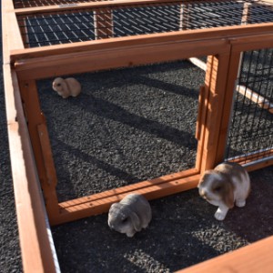 La Multirun peut être raccordée à une autre Multirun.