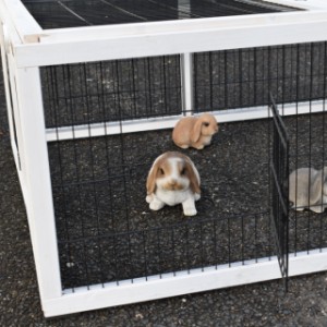 Le Multirun est équipé de 3 petites portes grillagées