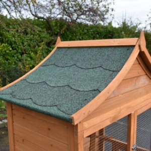 Le volière est équipée avec un toit avec toit bitumé vert