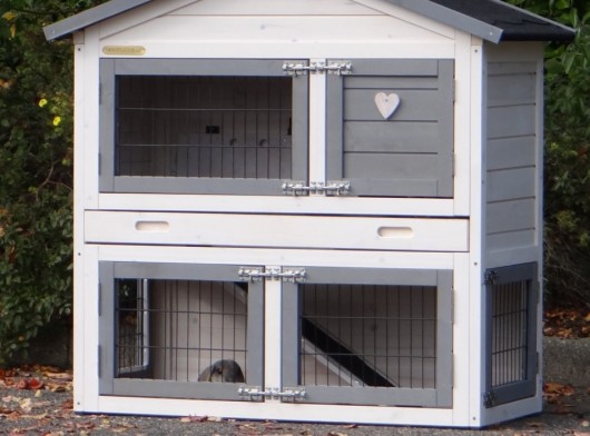 Ensemble d'isolation en plexiglass · pour clapier pour lapin Regular Small