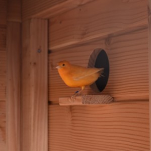 Aviary Flex 3+.1+ est équipée d’une étagère sous l’ouverture de vol