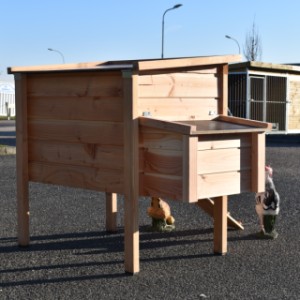 Un vu dans l'arrière du poulailler Chicky