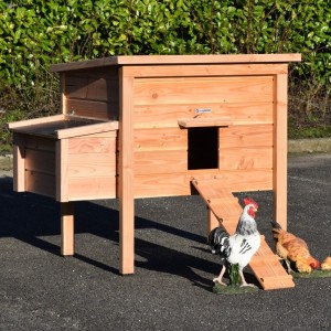 Poulailler Chicky 2 avec pondoir | Bois de Douglas | 144x84x125cm