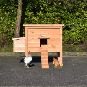 Le poulailler Chicky est fabriquée en bois de Douglas