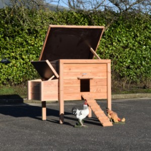 Clapier pour poules Chicky a toits articulés