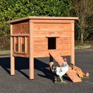 Poulailler Chicky 2 · Bois de Douglas · 116x84x125cm