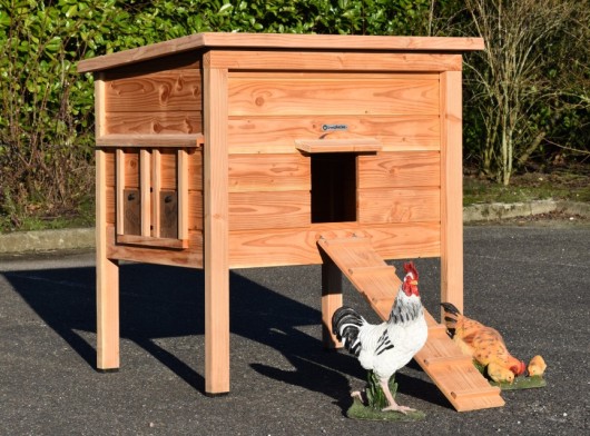 Poulailler Chicky 2 · Bois de Douglas · 116x84x125cm