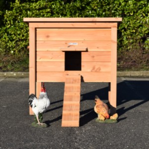 Poulailler Chicky 2 est un achat pour votre jardin