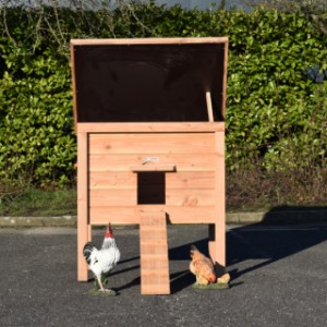 Le poulailler Chicky 2 est doté d’un toit articulé, ce qui permet de regarder facilement à l’intérieur du poulailler