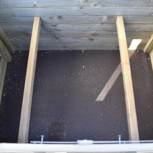 Le poulailler Chicky est équipée avex 2 perchoirs