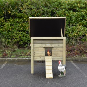 Le toit du poulailler Chicky peut être maintenu ouvert à l’aide d’un support