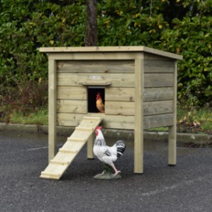 Poulailler Chicky 2 est un achat pour votre jardin