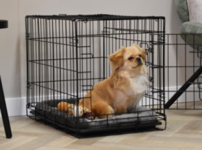 Cage pour chien Profit 63cm · 2-portes · 63x44x51cm