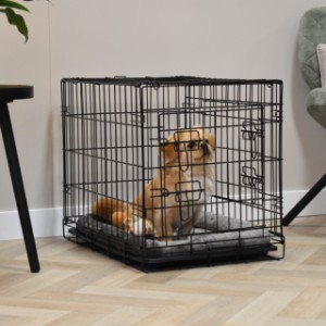 La cage pour chiens Profit 63 cm convient à un petit chien, comme par exemple un Boomer