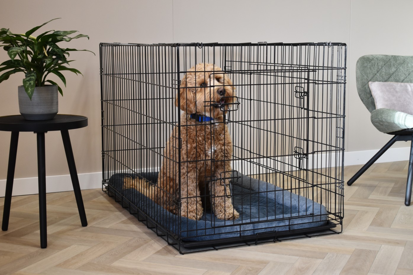 Cage pour chien avec coussing - Profit 122cm