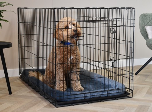 Cage pour chien with coussin · Profit XXL 122cm · 122x74x80cm