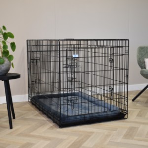 La cage pour chien Strong XXL convient aux grands chiens comme un Berger allemand