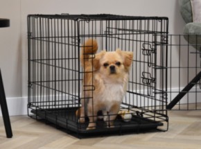 Cage pour chien Profit · 2-portes · 50x31x36cm
