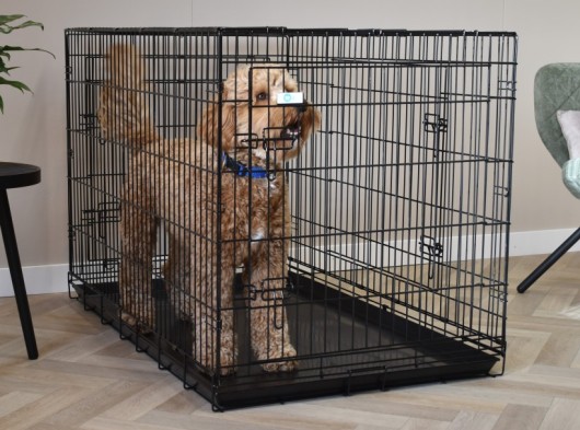 Cage pour chien Strong XXL · 3-portes · 124x76x83cm