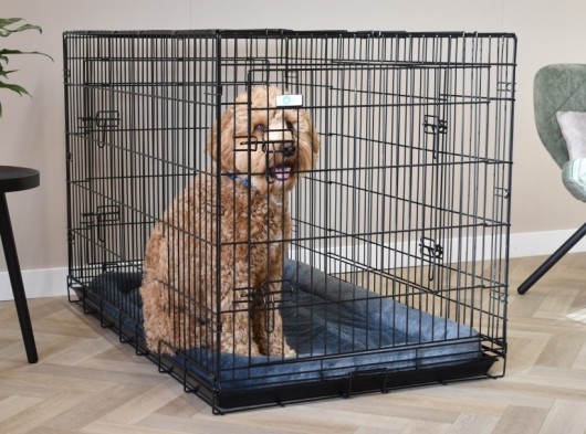 Cage pour chien avec voussin - Strong XXL · 3-portes · 124x76x83cm