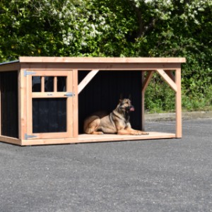 Niche pour chien Isa 2 avec veranda - Disponible en option avec un plancher pour la véranda