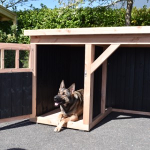Niche pour chien Isa 1 avec véranda - assez d’espace dans la zone de couchage pour un chien de taille (moyenne à) grande