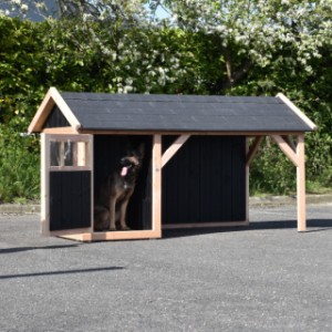 La niche Isa offre beaucoup d'espace pour votre chien