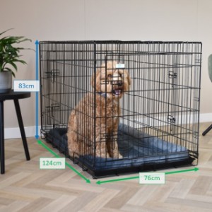 Tailles différentes du cage pour chien XXL