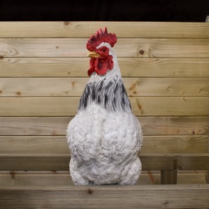 Poulailler Eggy - Chaque soir, un endroit confortable pour que vos poules se reposent et rêvent.