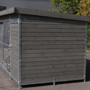 Le chenil pour chien est fabriquée en pin teinté