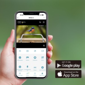 Sanilu mangeoire à oiseaux| avec application gratuite