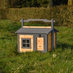 Maison du chat Yara a une passerelle pliante