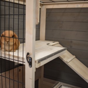 Cage Beau est idéale pour garder les lapins à l'intérieur