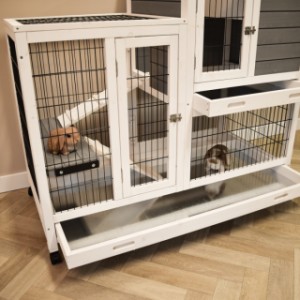 Cage à lapin Esmee a une tiroir pratique