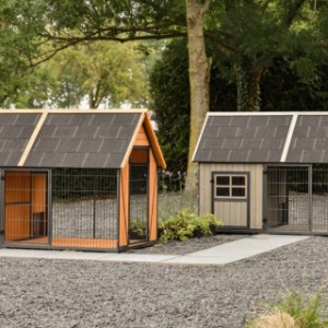Clapier pour lapin Danielle est disponible dans 2 couleurs différentes