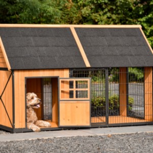 Niche pour chien Danielle - l'abri de nuit est adapté, par exemple, à un labradoodle