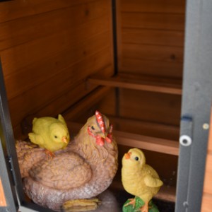 Poulailler Judy est approprié pour 4 à 9 poules