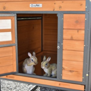 Clapier pour lapin Judy est approprié pour 3 à 5 lapins
