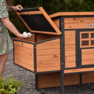 Pondoir Judy - une extension pour votre poulailler Judy