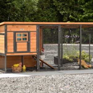 Poulailler Judy est un achat pour votre jardin