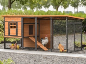 Poulailler Judy · Brown · 232x100x105cm