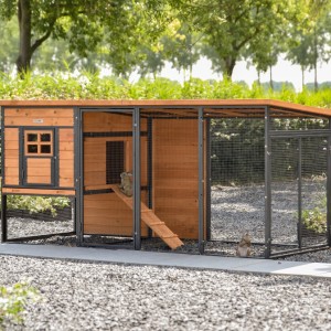 Clapier pour lapin Judy · Brown · 232x100x105cm