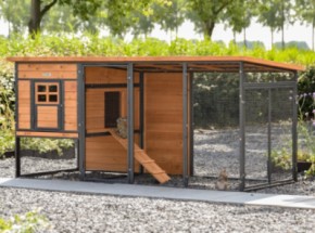 Clapier pour lapin Judy · Brown · 232x100x105cm