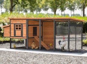 Poulailler Judy · Brown · 264x100x105cm