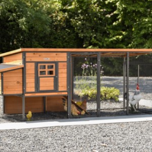 Poulailler Judy est un achat pour votre jardin