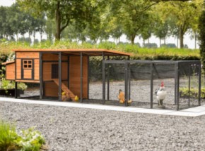 Poulailler Judy avec pondoir et enclos additive · Brown · 416x100x105cm