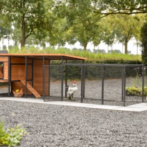 Poulailler Judy a plusieures grande portes